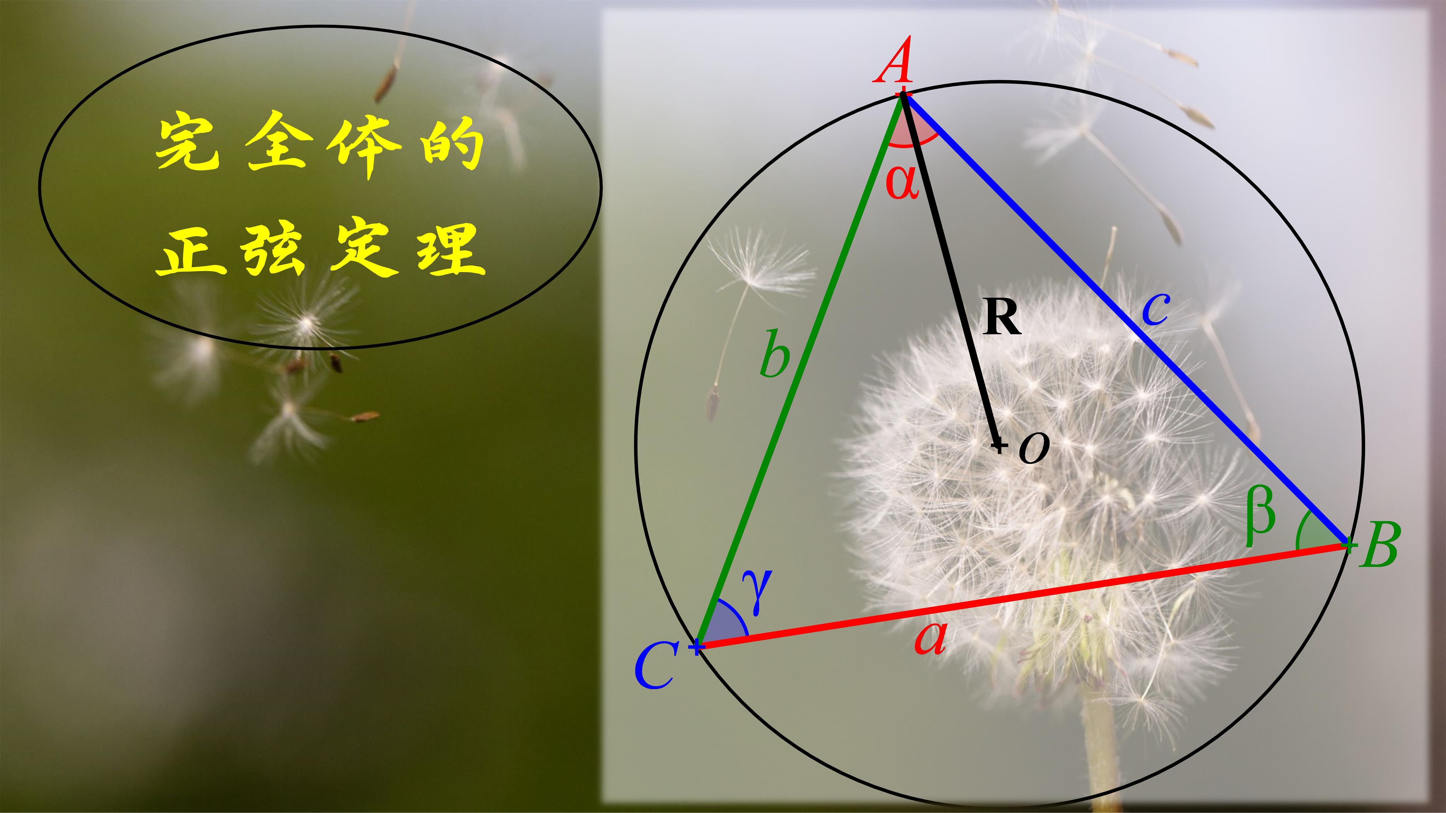 九游真人娱乐 -233乐园 下载免费